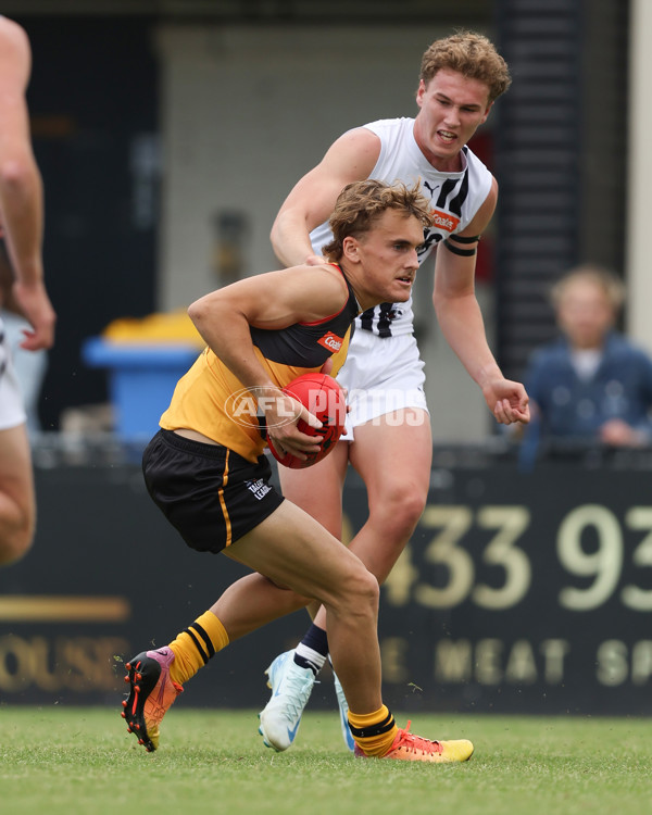 Coates League Boys 2025 Round 01 - Dandenong Stingrays v Geelong Falcons - A-58246562