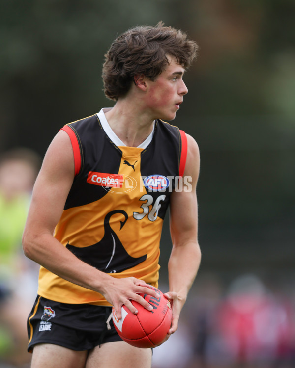 Coates League Boys 2025 Round 01 - Dandenong Stingrays v Geelong Falcons - A-58246564