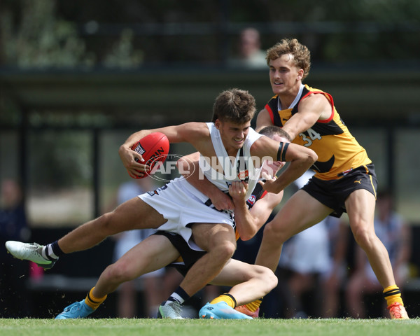 Coates League Boys 2025 Round 01 - Dandenong Stingrays v Geelong Falcons - A-58246565