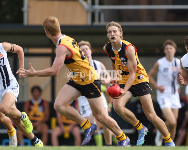 Coates League Boys 2025 Round 01 - Dandenong Stingrays v Geelong Falcons - A-58246566