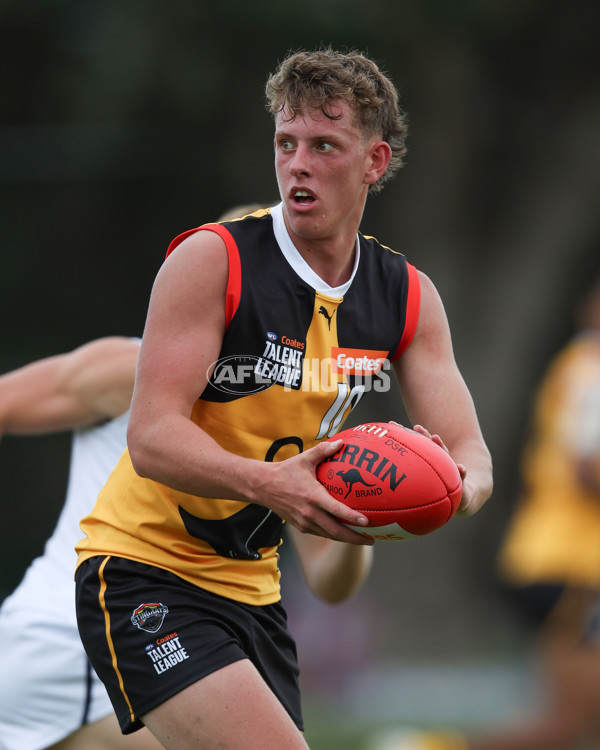 Coates League Boys 2025 Round 01 - Dandenong Stingrays v Geelong Falcons - A-58246567