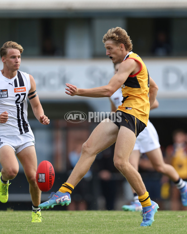 Coates League Boys 2025 Round 01 - Dandenong Stingrays v Geelong Falcons - A-58246568