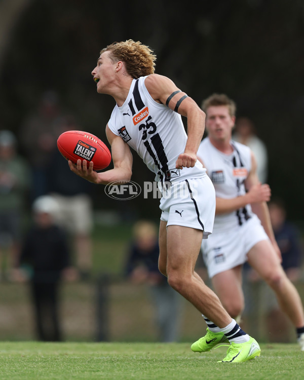 Coates League Boys 2025 Round 01 - Dandenong Stingrays v Geelong Falcons - A-58246569