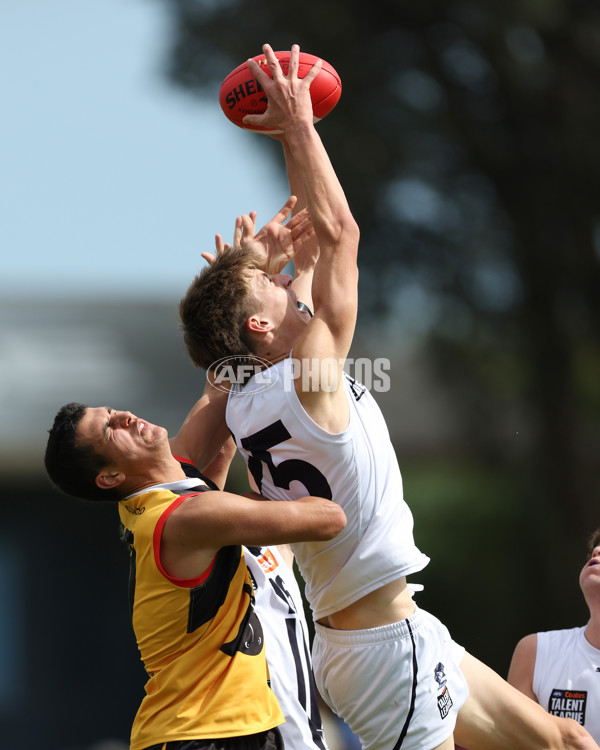 Coates League Boys 2025 Round 01 - Dandenong Stingrays v Geelong Falcons - A-58246575