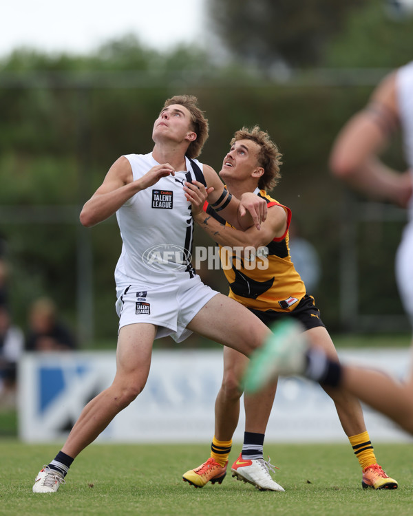 Coates League Boys 2025 Round 01 - Dandenong Stingrays v Geelong Falcons - A-58246576