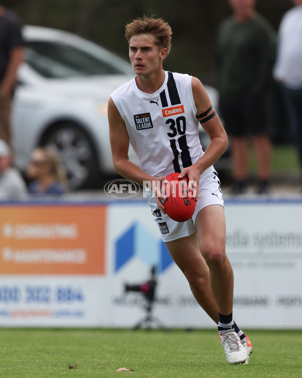 Coates League Boys 2025 Round 01 - Dandenong Stingrays v Geelong Falcons - A-58246577