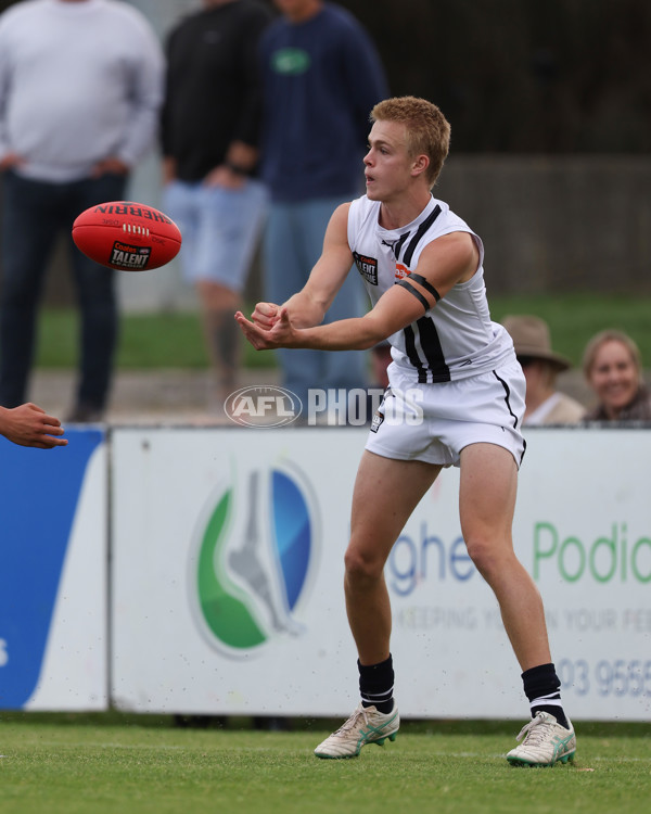 Coates League Boys 2025 Round 01 - Dandenong Stingrays v Geelong Falcons - A-58246591