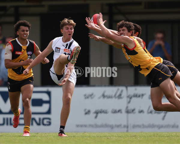 Coates League Boys 2025 Round 01 - Dandenong Stingrays v Geelong Falcons - A-58246592