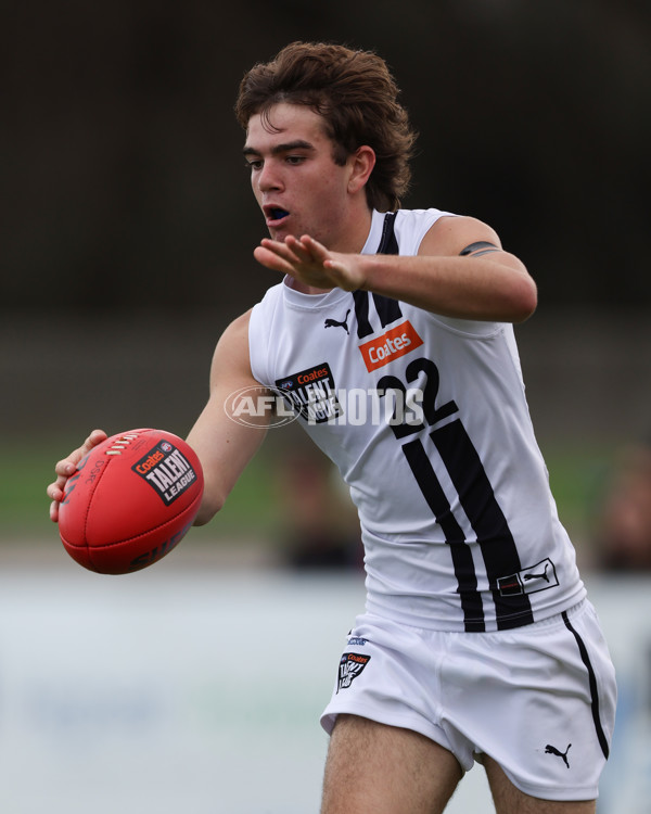 Coates League Boys 2025 Round 01 - Dandenong Stingrays v Geelong Falcons - A-58246593