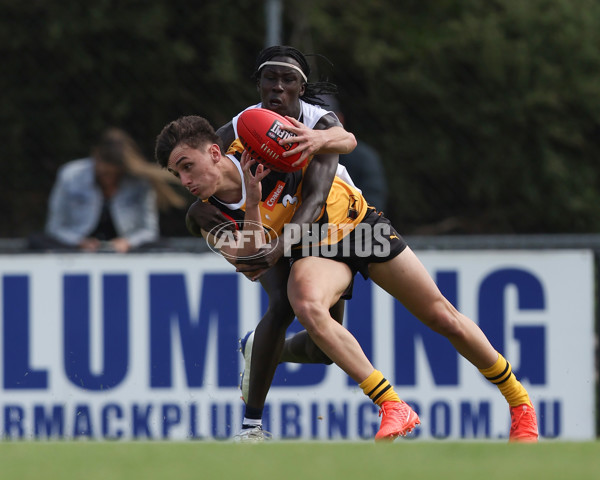 Coates League Boys 2025 Round 01 - Dandenong Stingrays v Geelong Falcons - A-58247138