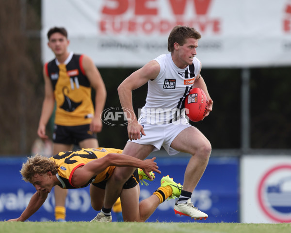 Coates League Boys 2025 Round 01 - Dandenong Stingrays v Geelong Falcons - A-58247141