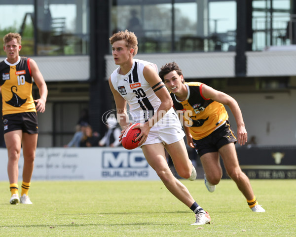 Coates League Boys 2025 Round 01 - Dandenong Stingrays v Geelong Falcons - A-58247170