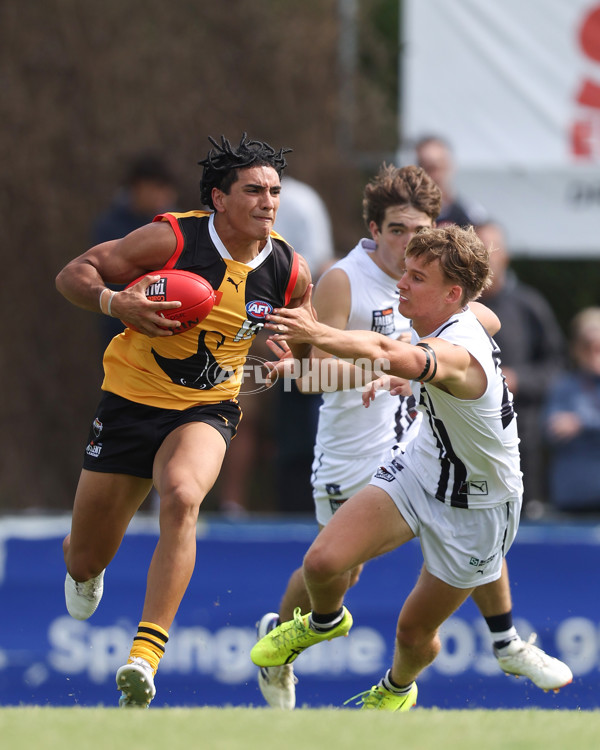 Coates League Boys 2025 Round 01 - Dandenong Stingrays v Geelong Falcons - A-58247172