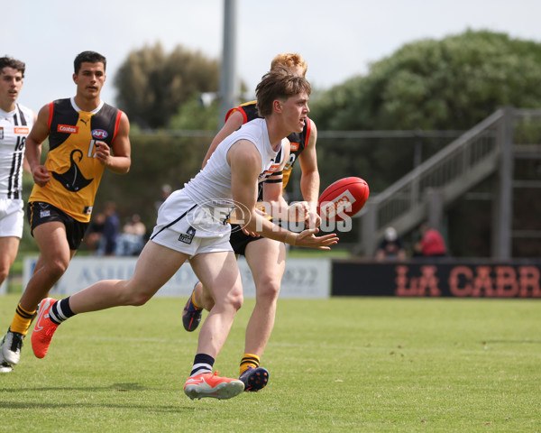 Coates League Boys 2025 Round 01 - Dandenong Stingrays v Geelong Falcons - A-58247174