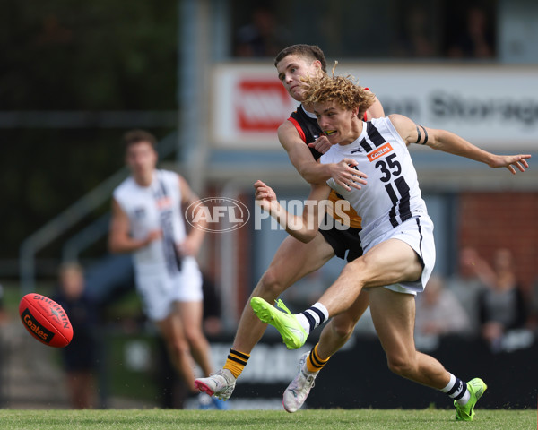 Coates League Boys 2025 Round 01 - Dandenong Stingrays v Geelong Falcons - A-58247175