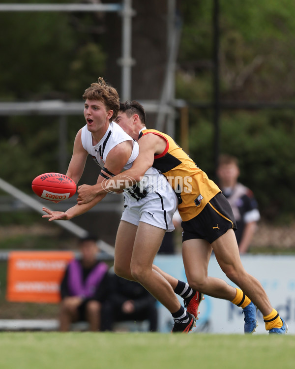 Coates League Boys 2025 Round 01 - Dandenong Stingrays v Geelong Falcons - A-58247176