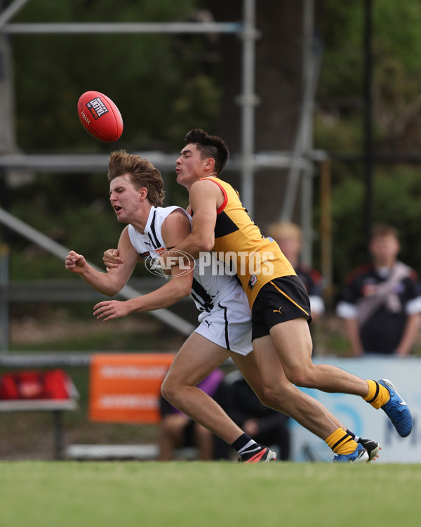 Coates League Boys 2025 Round 01 - Dandenong Stingrays v Geelong Falcons - A-58247177