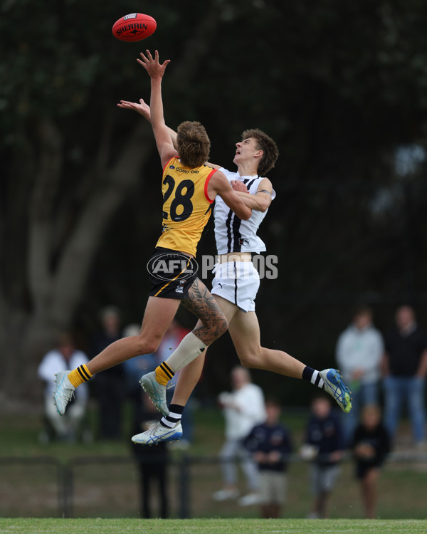 Coates League Boys 2025 Round 01 - Dandenong Stingrays v Geelong Falcons - A-58247178