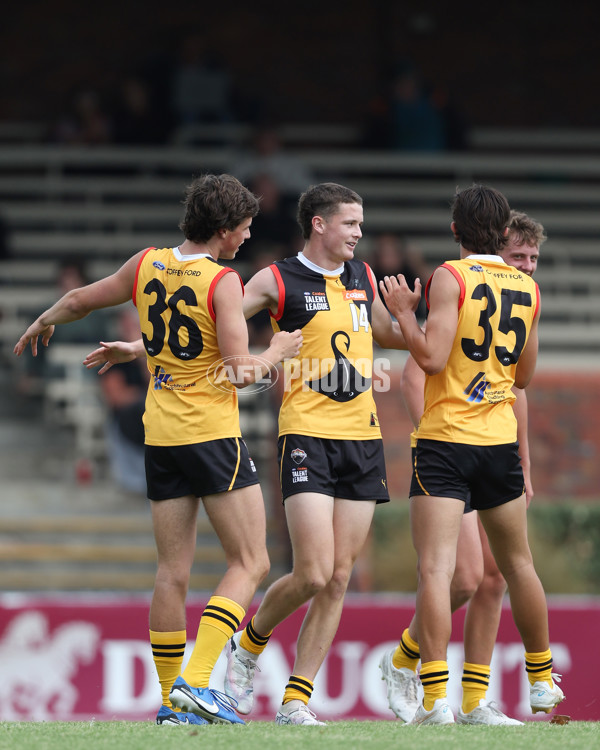 Coates League Boys 2025 Round 01 - Dandenong Stingrays v Geelong Falcons - A-58247179