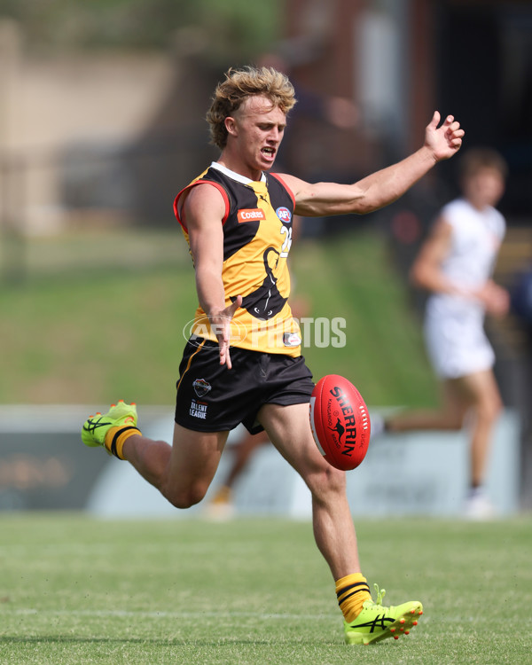 Coates League Boys 2025 Round 01 - Dandenong Stingrays v Geelong Falcons - A-58247182