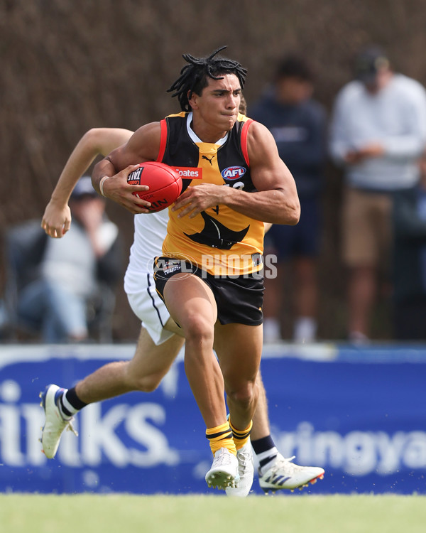 Coates League Boys 2025 Round 01 - Dandenong Stingrays v Geelong Falcons - A-58247183