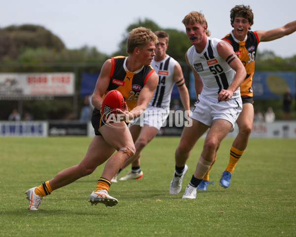 Coates League Boys 2025 Round 01 - Dandenong Stingrays v Geelong Falcons - A-58247184