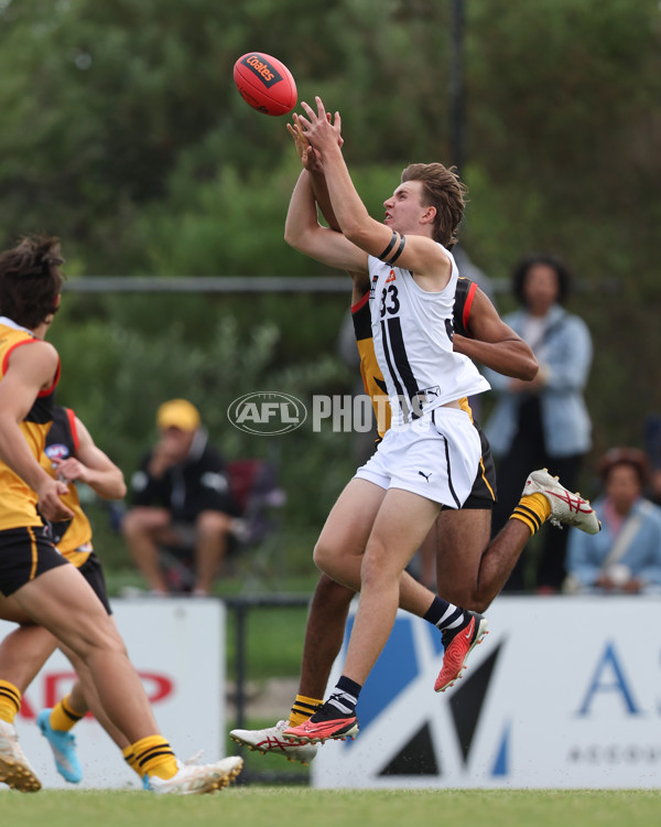Coates League Boys 2025 Round 01 - Dandenong Stingrays v Geelong Falcons - A-58247185