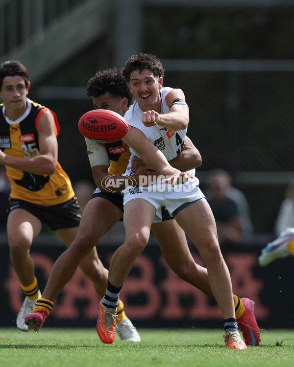 Coates League Boys 2025 Round 01 - Dandenong Stingrays v Geelong Falcons - A-58247194