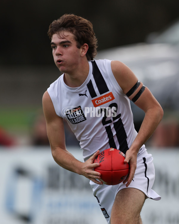 Coates League Boys 2025 Round 01 - Dandenong Stingrays v Geelong Falcons - A-58247196