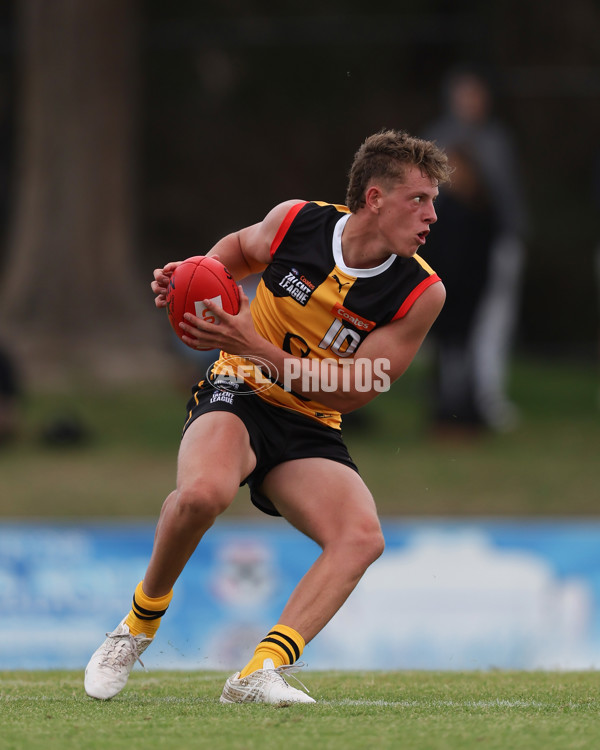 Coates League Boys 2025 Round 01 - Dandenong Stingrays v Geelong Falcons - A-58247197