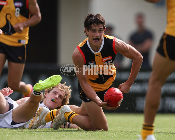 Coates League Boys 2025 Round 01 - Dandenong Stingrays v Geelong Falcons - A-58247198