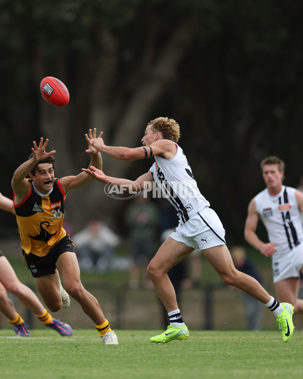 Coates League Boys 2025 Round 01 - Dandenong Stingrays v Geelong Falcons - A-58249438