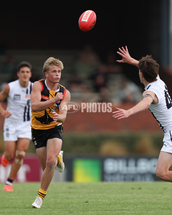 Coates League Boys 2025 Round 01 - Dandenong Stingrays v Geelong Falcons - A-58249439