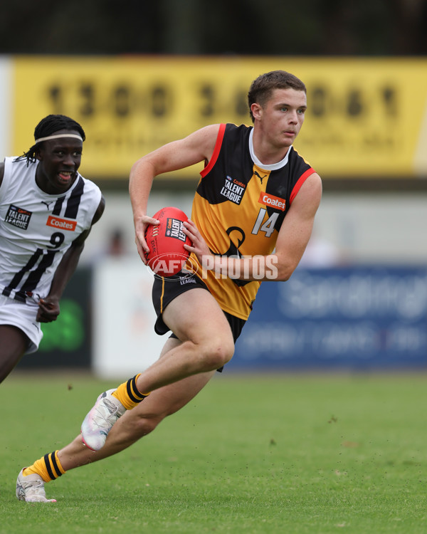 Coates League Boys 2025 Round 01 - Dandenong Stingrays v Geelong Falcons - A-58249441