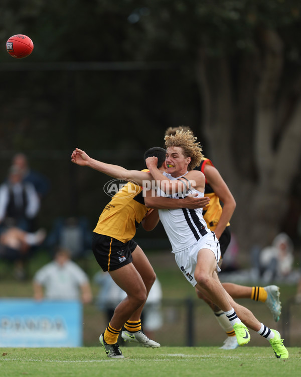 Coates League Boys 2025 Round 01 - Dandenong Stingrays v Geelong Falcons - A-58249443