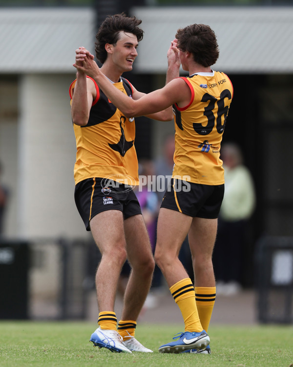 Coates League Boys 2025 Round 01 - Dandenong Stingrays v Geelong Falcons - A-58249445