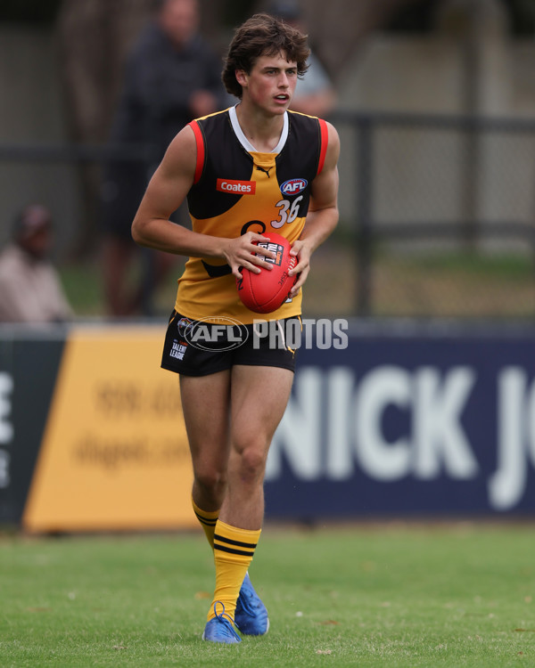 Coates League Boys 2025 Round 01 - Dandenong Stingrays v Geelong Falcons - A-58249447