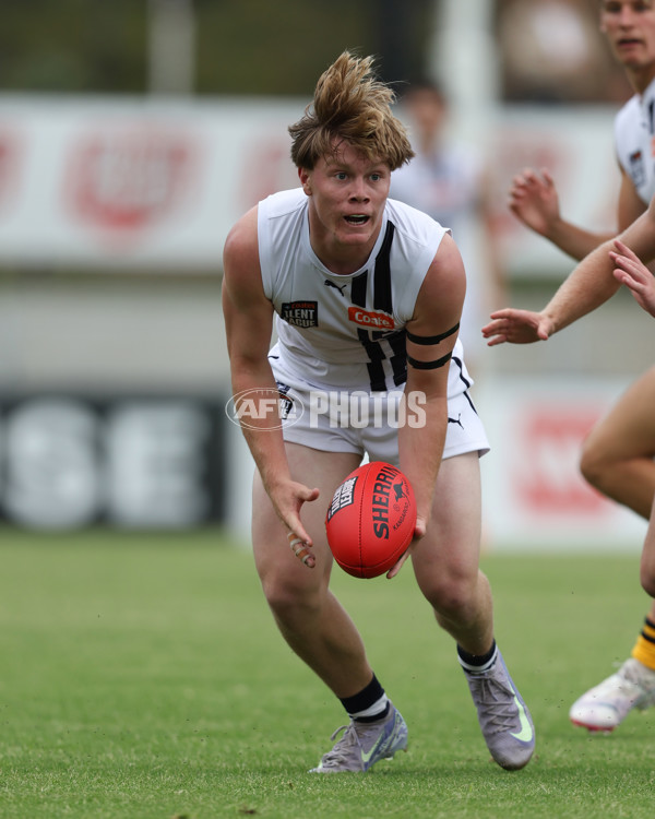 Coates League Boys 2025 Round 01 - Dandenong Stingrays v Geelong Falcons - A-58249449