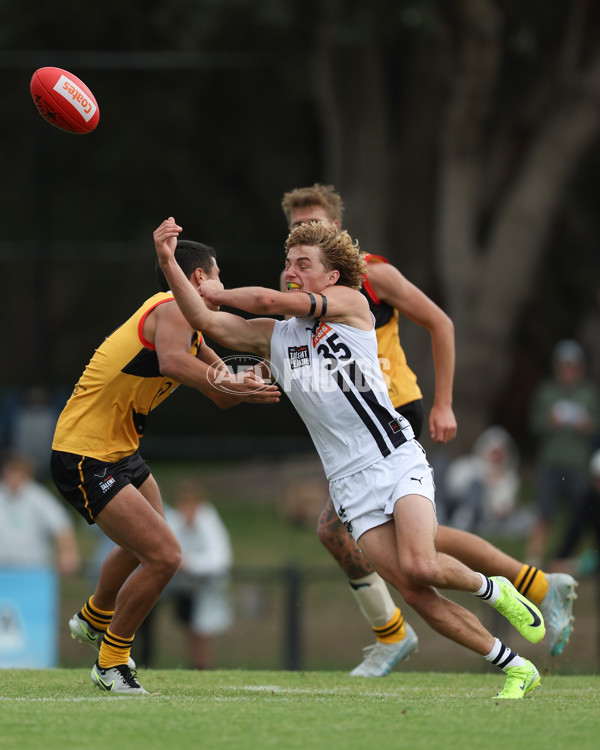 Coates League Boys 2025 Round 01 - Dandenong Stingrays v Geelong Falcons - A-58249450