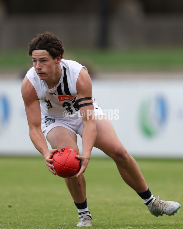 Coates League Boys 2025 Round 01 - Dandenong Stingrays v Geelong Falcons - A-58249451