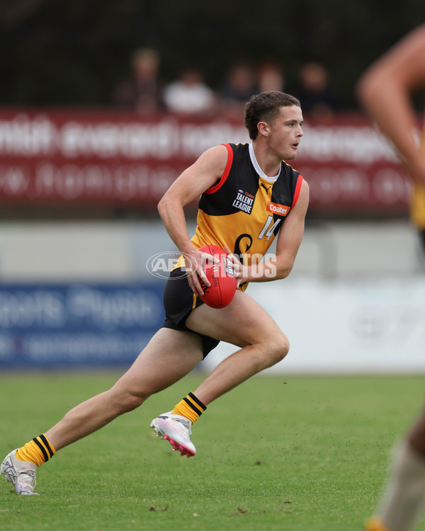 Coates League Boys 2025 Round 01 - Dandenong Stingrays v Geelong Falcons - A-58249453