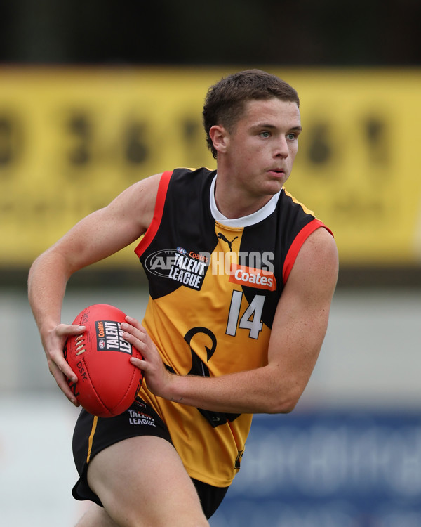 Coates League Boys 2025 Round 01 - Dandenong Stingrays v Geelong Falcons - A-58249541