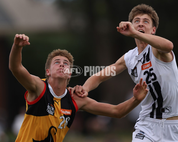 Coates League Boys 2025 Round 01 - Dandenong Stingrays v Geelong Falcons - A-58249542