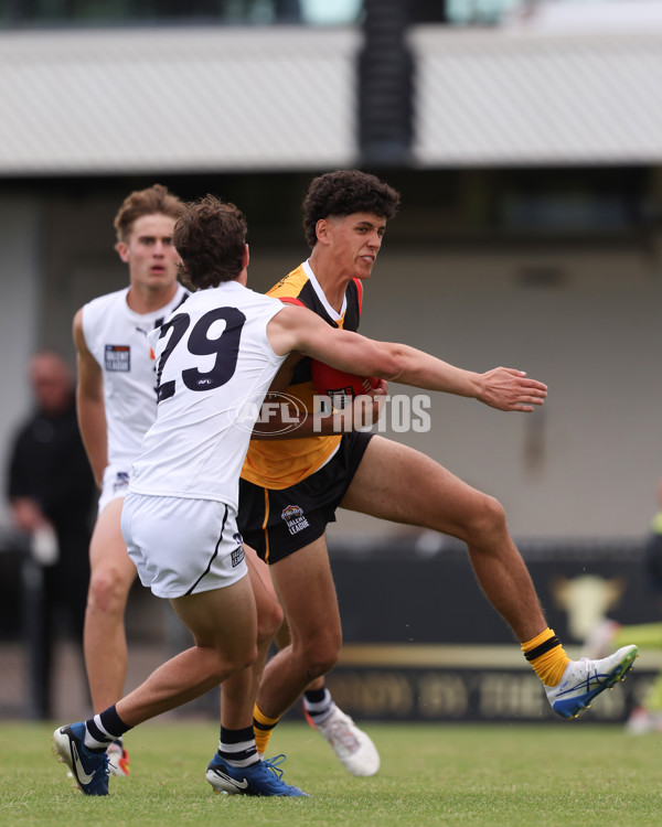 Coates League Boys 2025 Round 01 - Dandenong Stingrays v Geelong Falcons - A-58249543