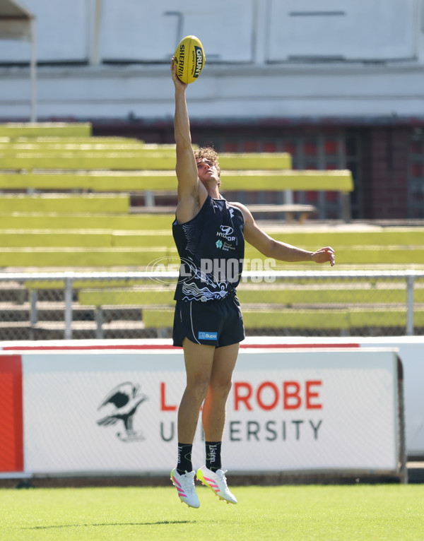 AFL 2025 Training - Carlton 020425 - A-58295620