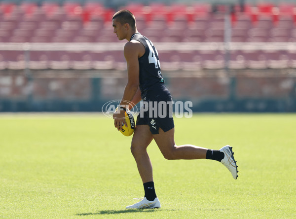 AFL 2025 Training - Carlton 020425 - A-58316416