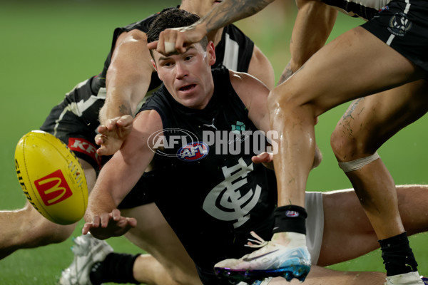 AFL 2025 Round 04 - Collingwood v Carlton - A-58342948