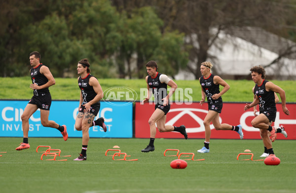 AFL 2025 Training - St Kilda 040425 - A-58348282