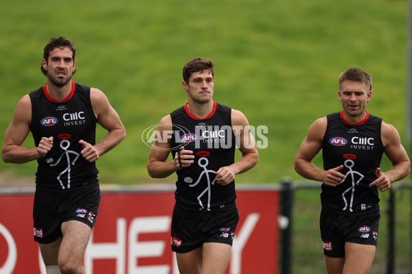 AFL 2025 Training - St Kilda 040425 - A-58348292