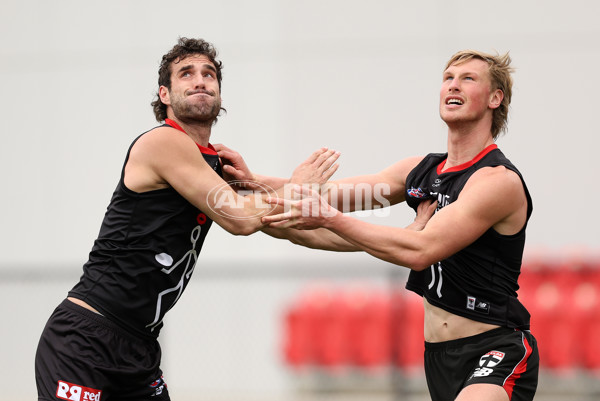AFL 2025 Training - St Kilda 040425 - A-58349449